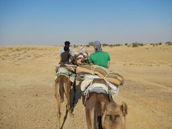 Ratan Hostel Jaisalmer Dış mekan fotoğraf